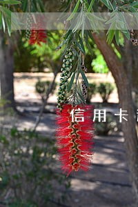 信用卡逾期人出现意外怎么处理 信用卡逾期人出现意外怎么处理