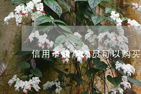 信用卡逾期人员可以购买飞机票吗
