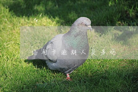 信用卡逾期人员多吗 信用卡逾期人员多吗