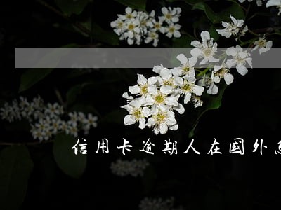 信用卡逾期人在国外怎么办 信用卡逾期人在国外怎么办
