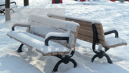 信用卡逾期人失踪怎么处理 信用卡逾期人失踪怎么处理