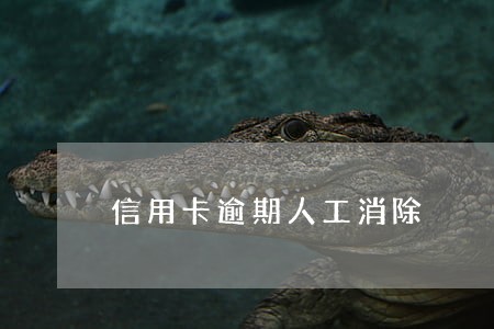 信用卡逾期人工消除 信用卡逾期人工消除