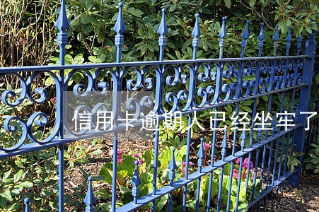 信用卡逾期人已经坐牢了怎么办 信用卡逾期人已经坐牢了怎么办