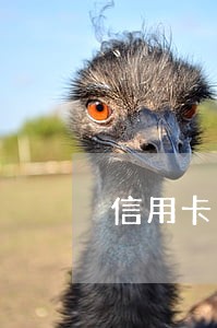 信用卡逾期人数3亿 信用卡逾期人数3亿