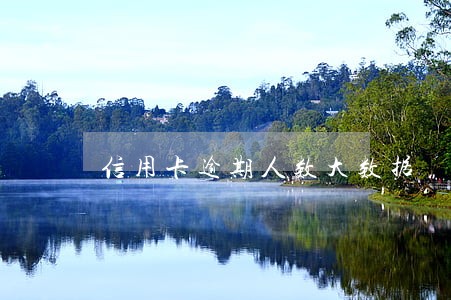 信用卡逾期人数大数据 信用卡逾期人数大数据