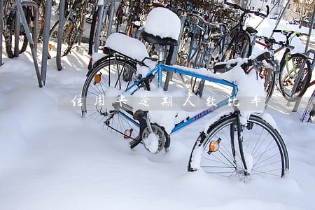 信用卡逾期人数比率