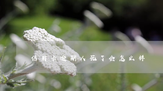 信用卡逾期人死了会怎么样 信用卡逾期人死了会怎么样