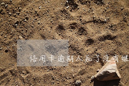 信用卡逾期人死了没有继承人