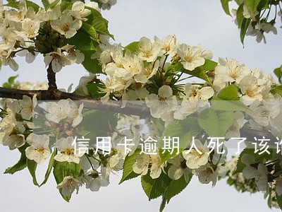 信用卡逾期人死了该谁还 信用卡逾期人死了该谁还