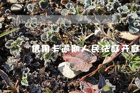 信用卡逾期人民法庭开庭通知函