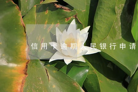 信用卡逾期人民银行申请异议 信用卡逾期人民银行申请异议