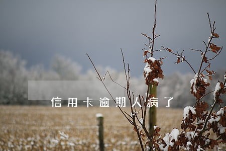 信用卡逾期人病了 信用卡逾期人病了