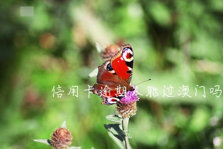 信用卡逾期人能过澳门吗 信用卡逾期人能过澳门吗