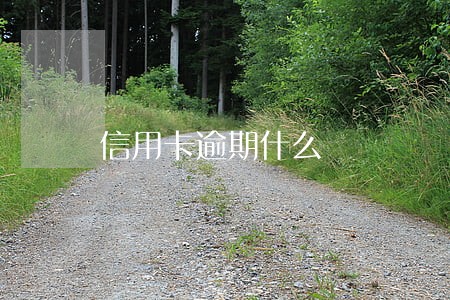 信用卡逾期什么