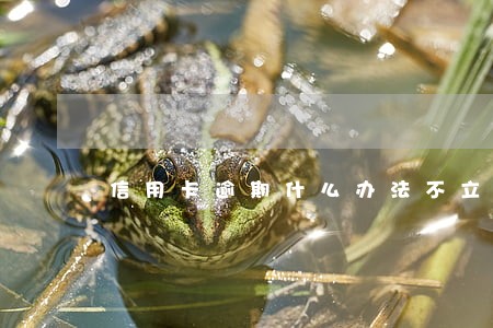 信用卡逾期什么办法不立案 信用卡逾期什么办法不立案