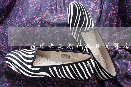 信用卡逾期什么原因可以消除 信用卡逾期什么原因可以消除