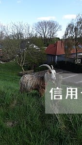 信用卡逾期什么情况上老赖 信用卡逾期什么情况上老赖