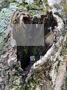信用卡逾期什么情况下上门 信用卡逾期什么情况下上门