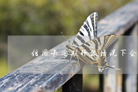 信用卡逾期什么情况下会影响家人 信用卡逾期什么情况下会影响家人