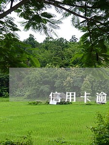 信用卡逾期什么情况下被拘留