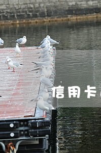 信用卡逾期什么情况下要通知父母