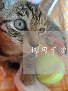 信用卡逾期什么情况不影响征信 信用卡逾期什么情况不影响征信