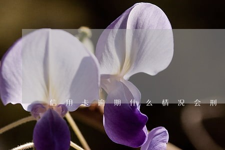 信用卡逾期什么情况会刑事诉讼 信用卡逾期什么情况会刑事诉讼