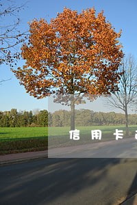信用卡逾期什么情况会报案