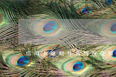 信用卡逾期什么情况会被上门 信用卡逾期什么情况会被上门