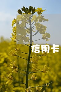 信用卡逾期什么情况逮捕 信用卡逾期什么情况逮捕