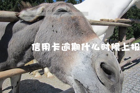 信用卡逾期什么时候上报 信用卡逾期什么时候上报