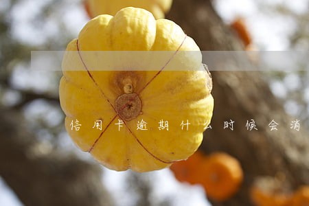 信用卡逾期什么时候会消 信用卡逾期什么时候会消