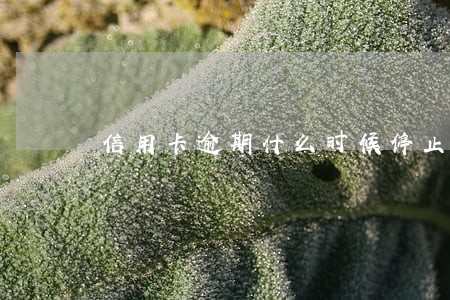 信用卡逾期什么时候停止催收 信用卡逾期什么时候停止催收