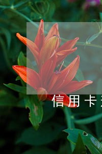 信用卡逾期什么时候变成呆帐