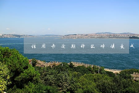 信用卡逾期什么时候变成呆账
