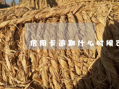 信用卡逾期什么时候可以取消 信用卡逾期什么时候可以取消