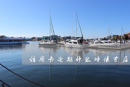 信用卡逾期什么时候才后悔 信用卡逾期什么时候才后悔