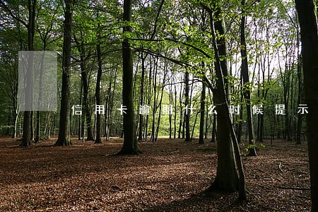 信用卡逾期什么时候提示 信用卡逾期什么时候提示