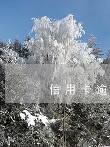 信用卡逾期什么时候暴通讯录 信用卡逾期什么时候暴通讯录
