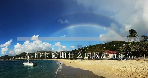 信用卡逾期什么时候更新征信 信用卡逾期什么时候更新征信