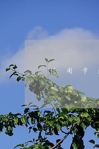 信用卡逾期什么时候法律诉讼 信用卡逾期什么时候法律诉讼