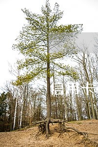 信用卡逾期什么时候消除征信 信用卡逾期什么时候消除征信