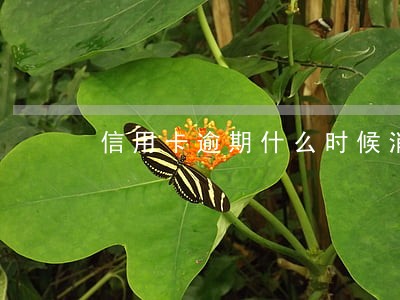 信用卡逾期什么时候消除污点 信用卡逾期什么时候消除污点