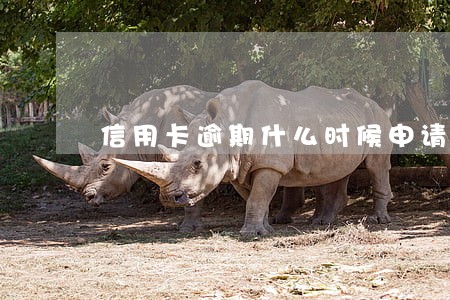 信用卡逾期什么时候申请停息挂帐 信用卡逾期什么时候申请停息挂帐