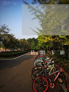 信用卡逾期什么时候能消除证信 信用卡逾期什么时候能消除证信