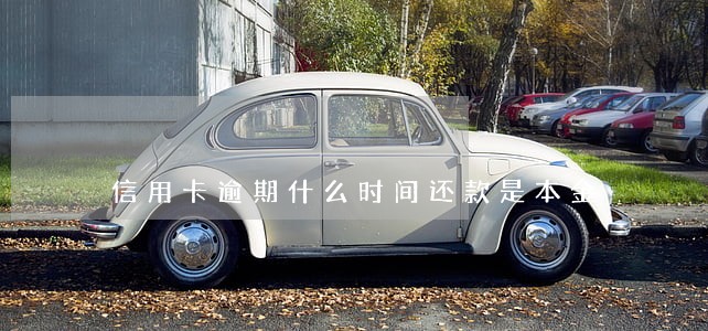 信用卡逾期什么时间还款是本金 信用卡逾期什么时间还款是本金