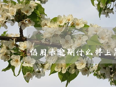 信用卡逾期什么样上黑名单 信用卡逾期什么样上黑名单