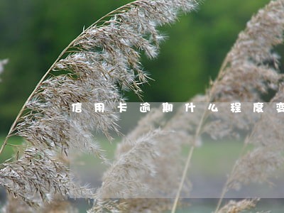 信用卡逾期什么程度变黑名单 信用卡逾期什么程度变黑名单