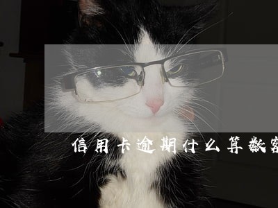 信用卡逾期什么算数额较大 信用卡逾期什么算数额较大