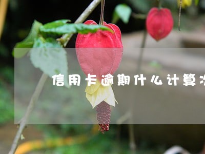 信用卡逾期什么计算次数